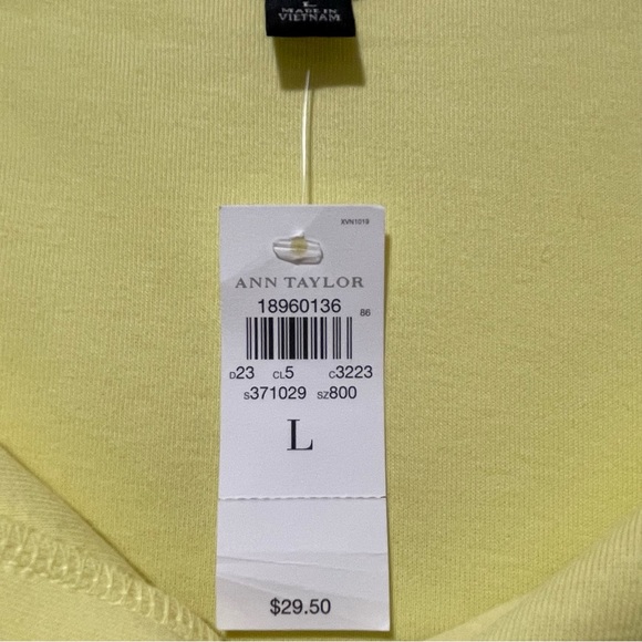 Ann Taylor Split Neck Cotton T-Shirt - Picture 5 of 13